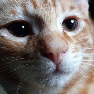 Meet your Posher, Shawn